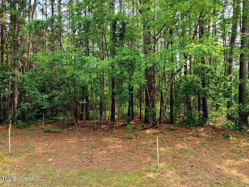 1 Myrtle Rd, Roseboro, NC 28382