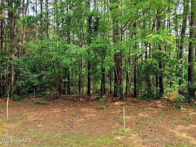 1 Myrtle Rd, Roseboro, NC 28382
