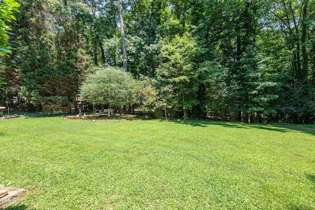 10625 Soma Ct, Raleigh, NC 27613 - photo 44