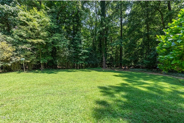 10625 Soma Ct, Raleigh, NC 27613 - photo 45