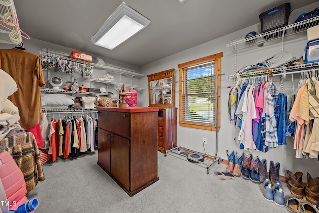 spacious closet featuring carpet flooring