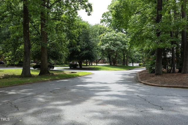 747 Weathergreen Dr, Raleigh, NC 27615 - photo 6