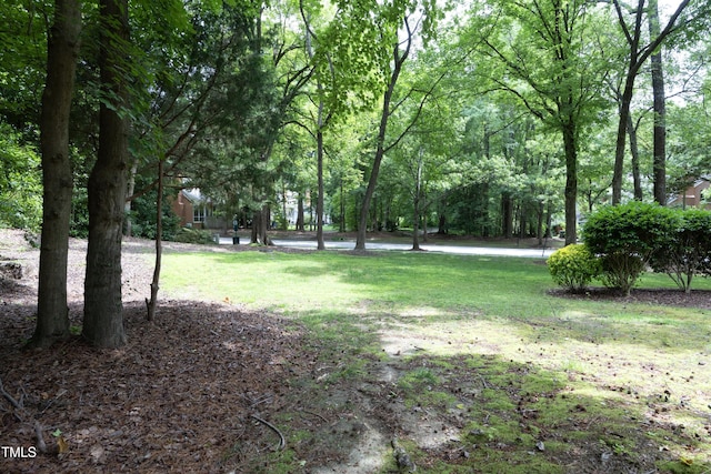 747 Weathergreen Dr, Raleigh, NC 27615 - photo 23