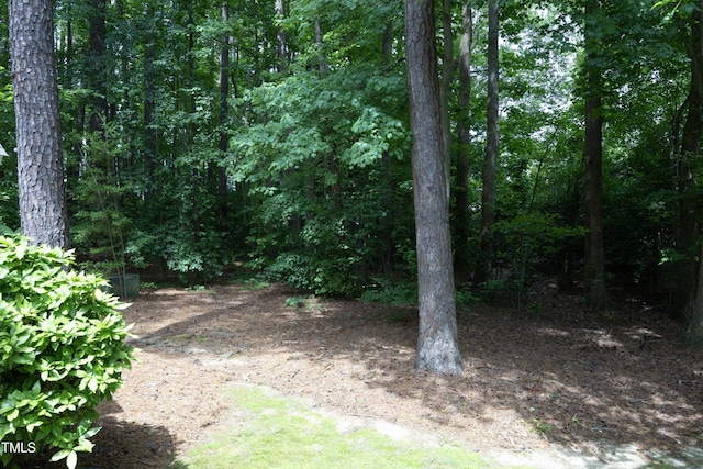 747 Weathergreen Dr, Raleigh, NC 27615 - photo 24