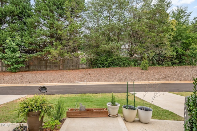 321 Conrad Ln, Wake Forest, NC 27587 - view of yard