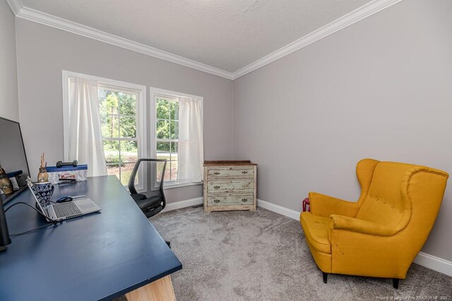 101 Park St, Ellerbe, NC 28338 - photo 26