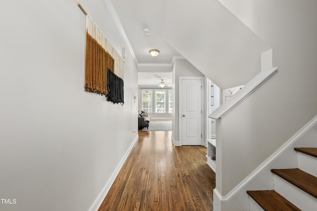 1123 Ambrose Dr, Rolesville, NC 27571 - photo 5