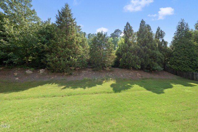 1123 Ambrose Dr, Rolesville, NC 27571 - photo 33