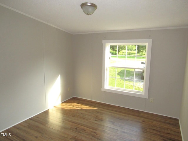 440 Montgomery Rd, Franklinton, NC 27525 - photo 19