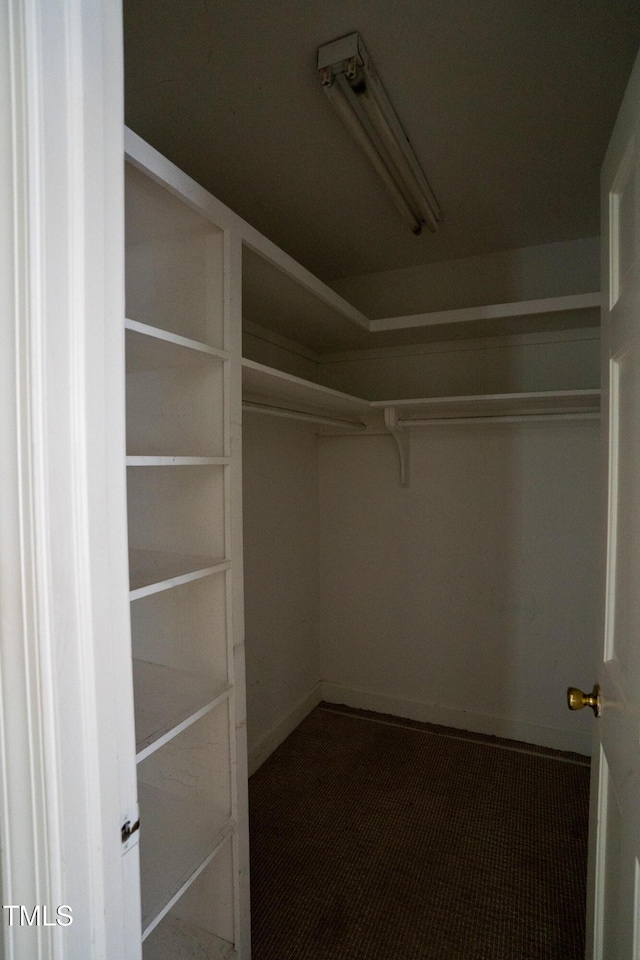 2100 Breeze Rd, Raleigh, NC 27608 - view of walk in closet