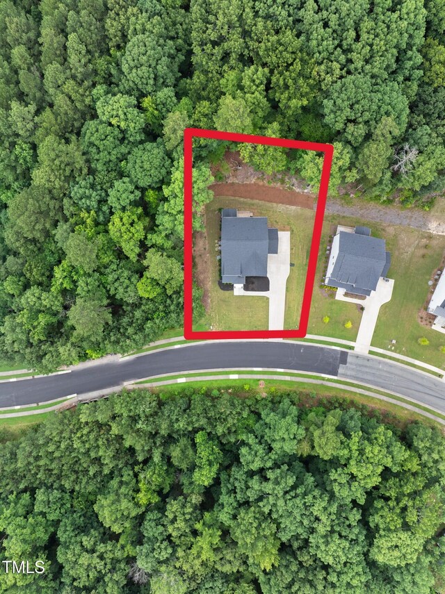 720 The Parks Dr, Pittsboro, NC 27312 - photo 44