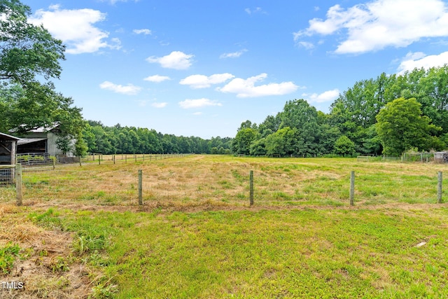 6318 Hurdle Mills Rd, Roxboro, NC 27574 - photo 46