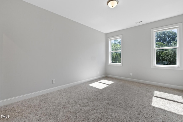 217 Tumbling River Dr, Wendell, NC 27591 - photo 59