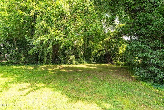 907 Morehead Ave, Durham, NC 27707 - view of grassy yard