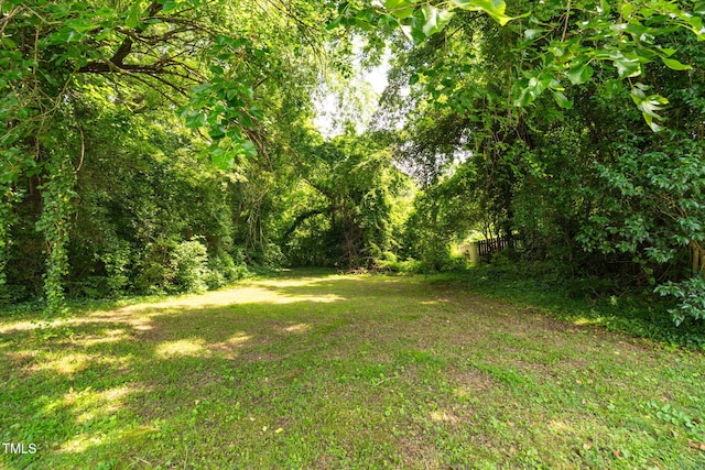 907 Morehead Ave, Durham, NC 27707 - view of grassy yard featuring a view of trees