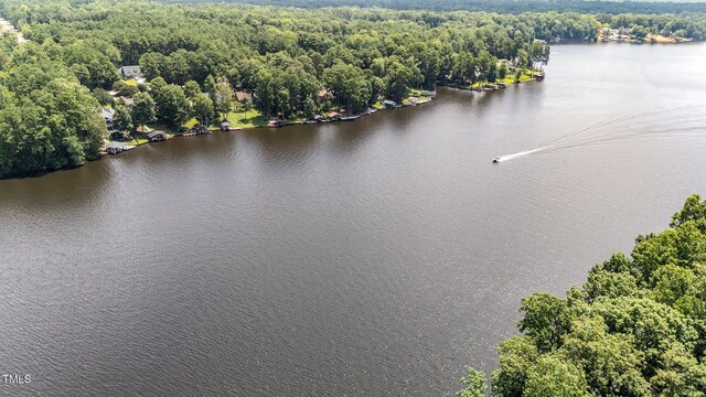 1221 Sagamore Dr, Louisburg, NC 27549 - bird's eye view of a nearby body of water