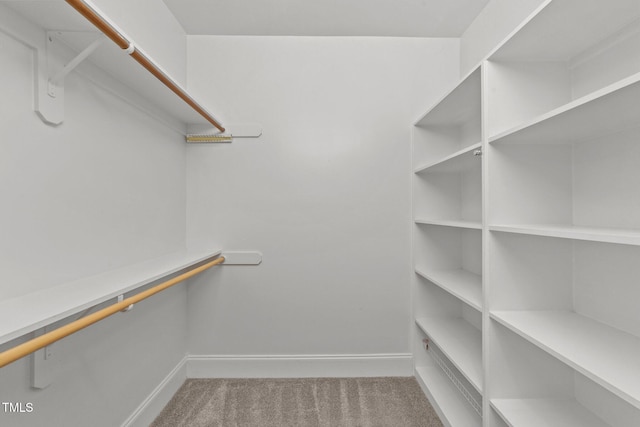 1221 Sagamore Dr, Louisburg, NC 27549 - walk in closet featuring carpet