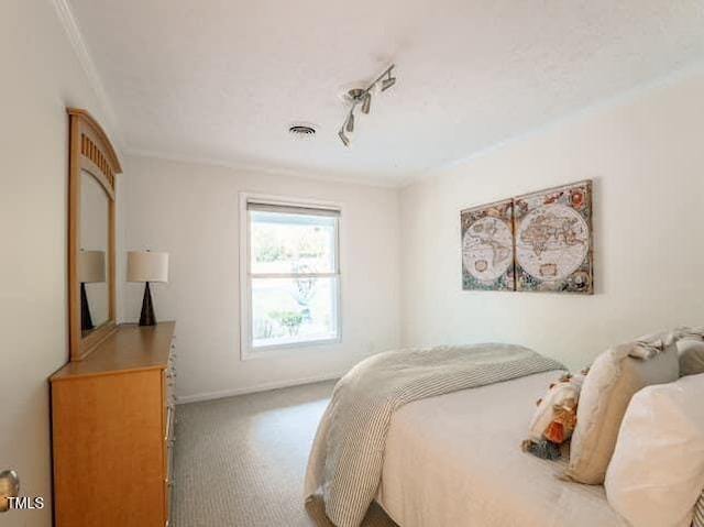 64 Robin Rd, Semora, NC 27343 - bedroom featuring carpet floors, rail lighting, and ornamental molding