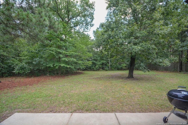 138 Gold Ct, Broadway, NC 27505 - photo 39