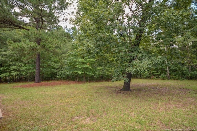 138 Gold Ct, Broadway, NC 27505 - photo 42