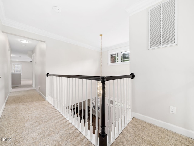 1437 Chelton Oaks Pl, Raleigh, NC 27614 - photo 15