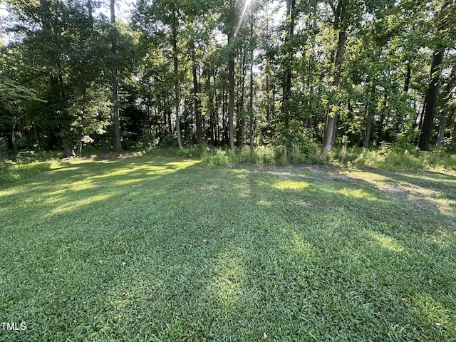 26 Phillips Rd, Selma, NC 27576