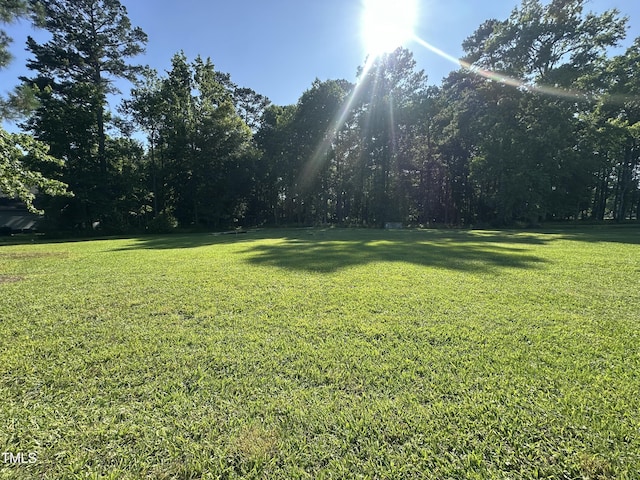 26 Phillips Rd, Selma, NC 27576