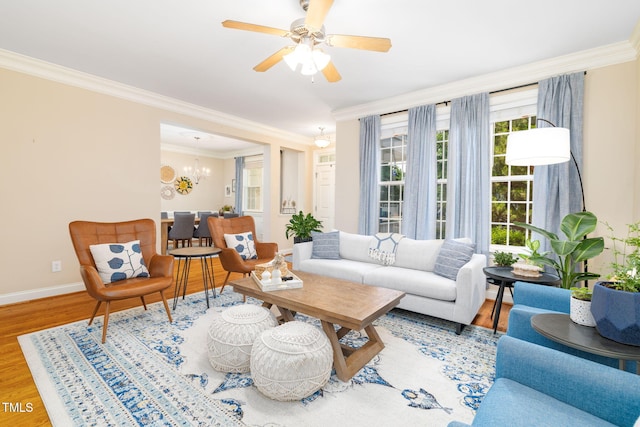 10906 Flower Bed Ct, Raleigh, NC 27614 - living area with ornamental molding, wood finished floors, ceiling fan, and a chandelier