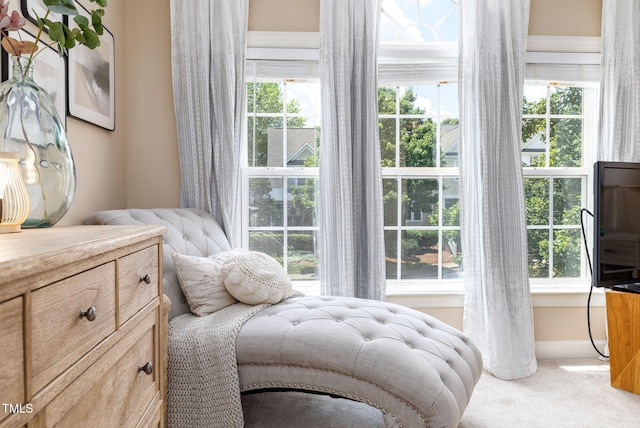 10906 Flower Bed Ct, Raleigh, NC 27614 - view of carpeted bedroom