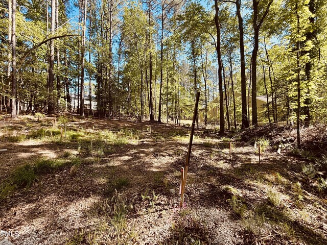102 Sequoia Dr, Louisburg, NC 27549 - photo 8