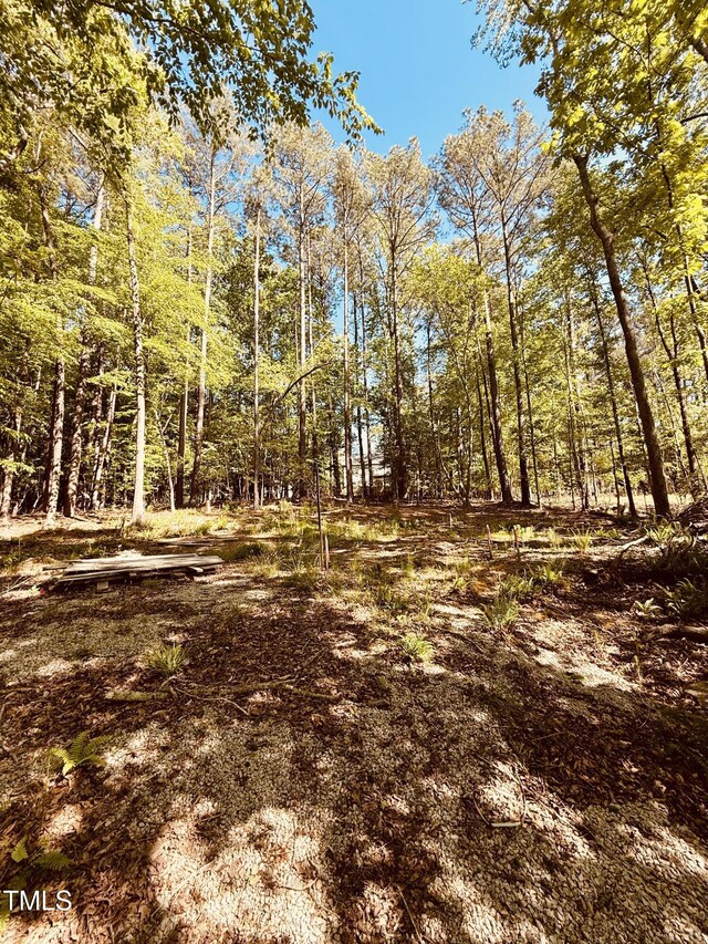102 Sequoia Dr, Louisburg, NC 27549 - photo 4