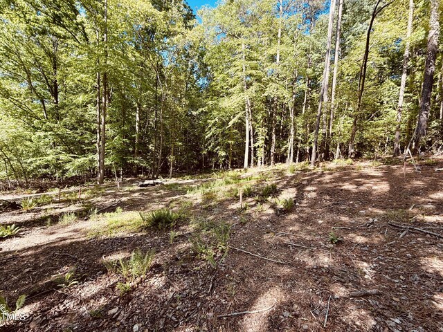 102 Sequoia Dr, Louisburg, NC 27549 - photo 9