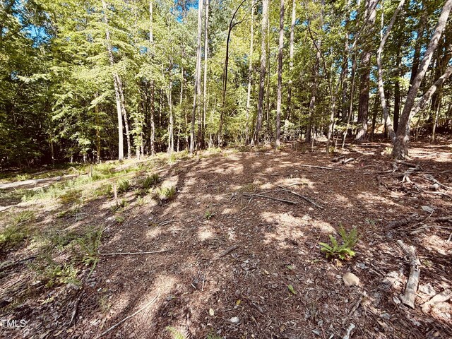 102 Sequoia Dr, Louisburg, NC 27549 - photo 10