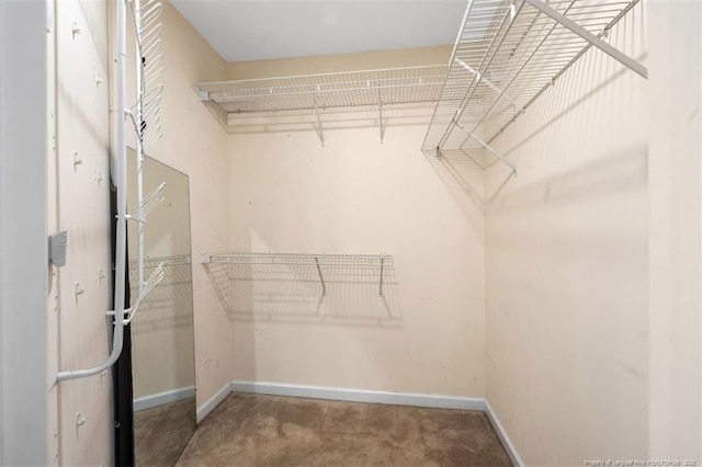 7616 Spurge Dr, Fayetteville, NC 28311 - photo 26