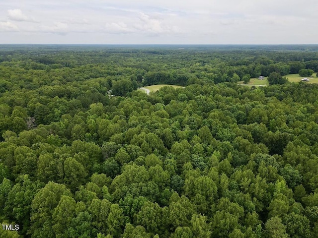 1535 Wildwood Dr, Oxford, NC 27565 - photo 15