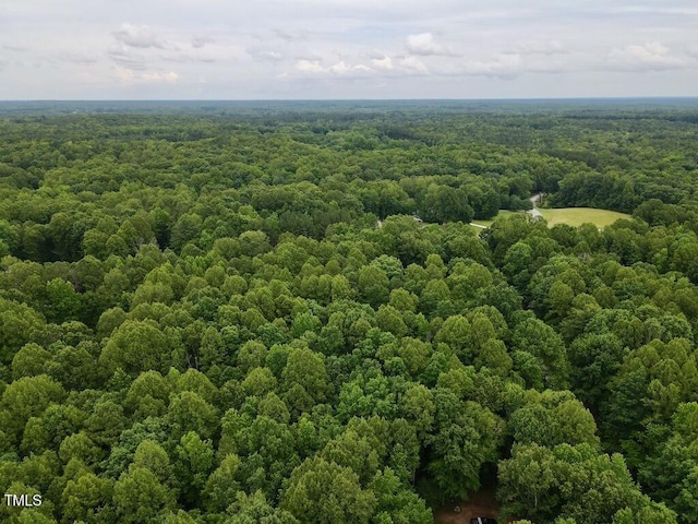 1535 Wildwood Dr, Oxford, NC 27565 - photo 16