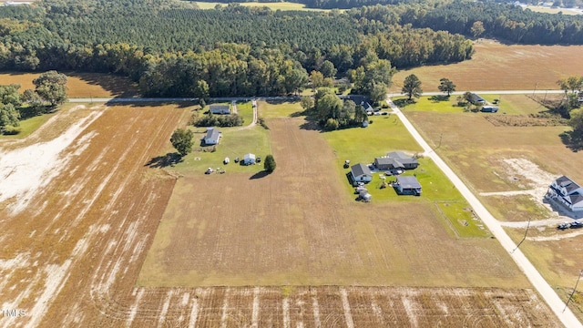 650 Short Journey Rd, Smithfield, NC 27577 - photo 5