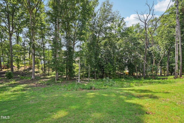 133 Black Cloud Dr, Louisburg, NC 27549 - photo 43