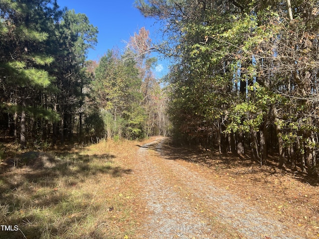 75 Green Level Rd, Apex, NC 27523 - photo 2