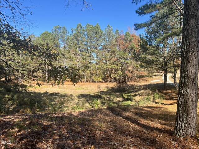75 Green Level Rd, Apex, NC 27523 - photo 5