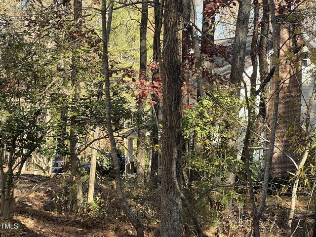 75 Green Level Rd, Apex, NC 27523 - photo 6