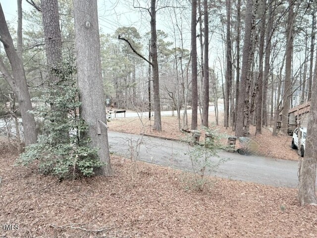 103 Cimmaron Ct, Cary, NC 27511 - photo 21