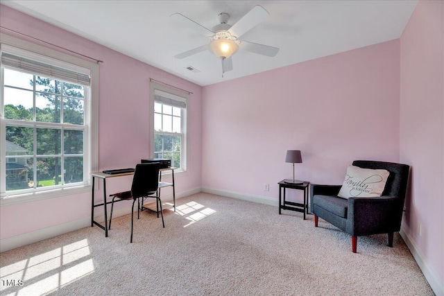 366 Orchard Falls Dr, Spring Lake, NC 28390 - photo 27
