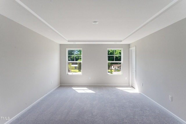 1149 Weavers Trace Dr, Zebulon, NC 27597 - carpeted spare room featuring a raised ceiling and baseboards