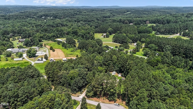 9 Piney Grove Rd, Bahama, NC 27503 - photo 40