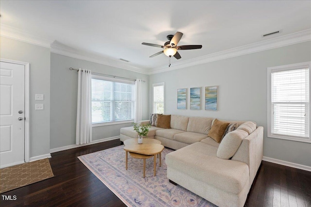 979 Branch Line Ln, Apex, NC 27502 - living area with dark wood-style floors, ceiling fan, and crown molding