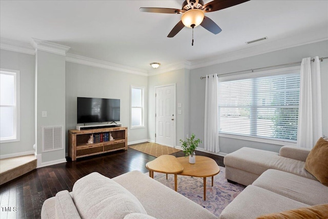 979 Branch Line Ln, Apex, NC 27502 - living room featuring hardwood / wood-style floors, crown molding, and ceiling fan