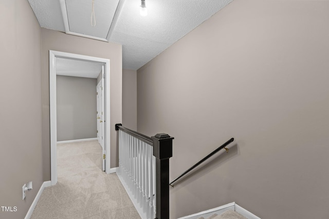7159 Sandy Creek Dr, Raleigh, NC 27615 - photo 25