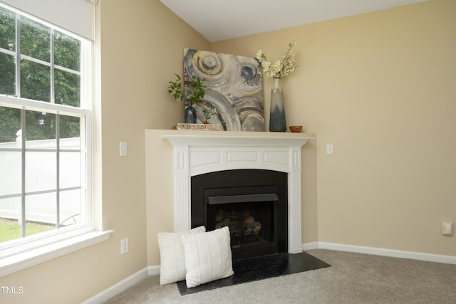 617 Woodson Dr, Clayton, NC 27527 - detailed view of carpet and a fireplace with flush hearth