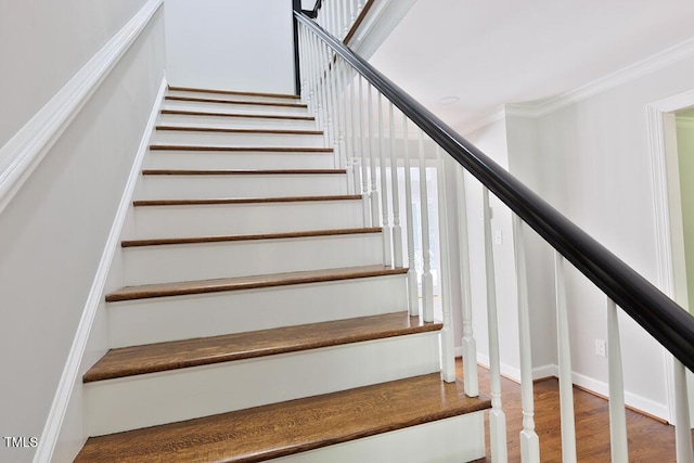 14236 Wyndfield Cir, Raleigh, NC 27615 - photo 29